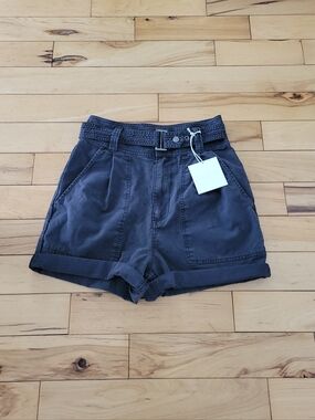 PISTOLA Arita Shorts Black Paper Bag High Waisted 26 NWT $110